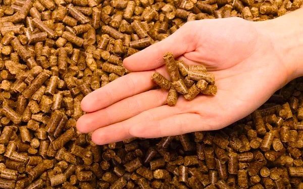 ilustrasi wood pellet atau pelet kayu (Foto: Depositphotos)