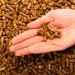 ilustrasi wood pellet atau pelet kayu (Foto: Depositphotos)