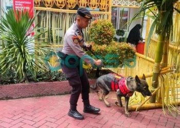 Anjing pelacak Polda Gorontalo spesialis bahan peledak disiapkan untuk mengamankan pendaftaran Calon Kepala Daerah (Cakada) di KPU Provinsi Gorontalo, Rabu (28-8-2024).