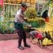 Anjing pelacak Polda Gorontalo spesialis bahan peledak disiapkan untuk mengamankan pendaftaran Calon Kepala Daerah (Cakada) di KPU Provinsi Gorontalo, Rabu (28-8-2024).