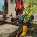 PGP dibantu TNI Kodim 1313/Pohuwato, besama warga setempat merenovasi beberapa sekolah di Kecamatan Buntulia, (Istimewa)