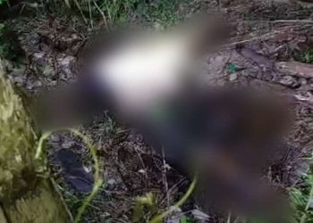 Sesosok mayat ditemukan warga sekitar di Jalan GORR, Kecamatan Tapa, Kabupaten Bone Bolango, Ahad malam, 18-8-2024.