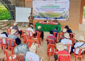 PT Pupuk Kalimantan Timur (Pupuk Kaltim) kembali membekali petani binaan tata cara pembuatan kompos secara efektif menggunakan Biodex, yang merupakan salah satu produk unggulan perusahaan dan berfungsi sebagai biodekomposer lahan.