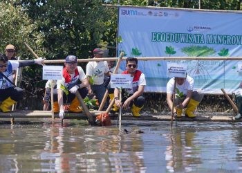 PT Pertamina Patra Niaga Sulawesi melalui salah satu unit operasinya yaitu Integrated Terminal Makassar yang menjalankan program Tanggung Jawab Sosial dan Lingkungan (TJSL) bernama Program Ecoeduwisata Mangrove, hari ini (28/8) melaksankaan kegiatan penanaman mangrove di Kelurahan Parangloe, Kecamatan Tamalanrea, Kota Makassar.