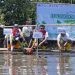 PT Pertamina Patra Niaga Sulawesi melalui salah satu unit operasinya yaitu Integrated Terminal Makassar yang menjalankan program Tanggung Jawab Sosial dan Lingkungan (TJSL) bernama Program Ecoeduwisata Mangrove, hari ini (28/8) melaksankaan kegiatan penanaman mangrove di Kelurahan Parangloe, Kecamatan Tamalanrea, Kota Makassar.