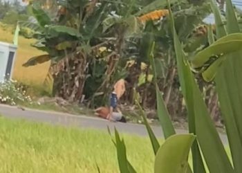 Dugaan penganiayaan yang terjadi di jalan Taman Surya Kelurahan Dembe Jaya Kota Utara Kota Gorontalo Sabtu kemarin.