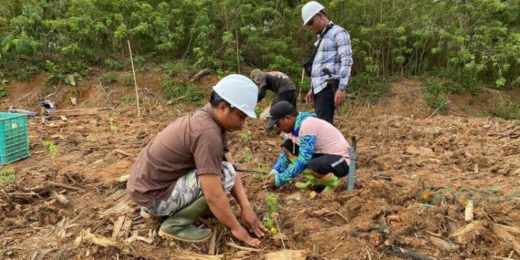APREBI: Industri Biomassa Investasi Bermanfaat Atasi Kemiskinan dan Stunting