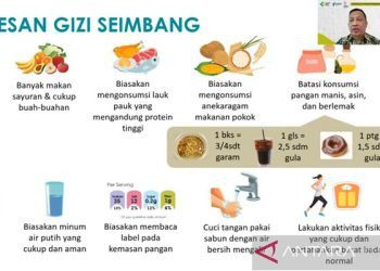 Ketua Tim Kerja Standar Kecukupan Gizi dan Mutu Pelayanan Gizi Kesehatan Ibu dan Anak Kemenkes Mahmud Fauzi dalam diskusi tentang makan bergizi gratis yang diikuti secara daring di Jakarta, Kamis (17/10/2024). ANTARA/Lintang Budiyanti Prameswari
