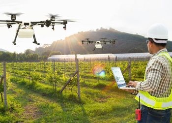 Penggunaan drone untuk pertanian. (Foto: Doran.id)