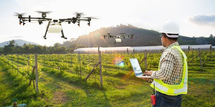 Penggunaan drone untuk pertanian. (Foto: Doran.id)