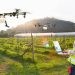 Penggunaan drone untuk pertanian. (Foto: Doran.id)