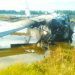 Kondisi pesawat milik SAM Air jenis Twin Otter yang jatuh di wilayah Marisa, Pohuwato, Gorontalo. (Foto Istimewa)