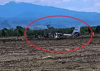Pesawat perintis jenis Twin Otter milik PT SAM Air yang jatuh sekitar 300 meter dari runway di bandara Panua Pohuwato, Gorontalo, Minggu (20/10/2024).(Foto Istimewa)