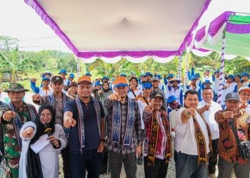 Program Demonstration Plot (Demplot) PT Pupuk Kalimantan Timur (Pupuk Kaltim) kembali berhasil mendorong produktivitas pangan di Kawasan IKN, dengan peningkatan produktivitas pertanian padi secara signifikan.