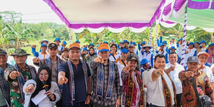 Program Demonstration Plot (Demplot) PT Pupuk Kalimantan Timur (Pupuk Kaltim) kembali berhasil mendorong produktivitas pangan di Kawasan IKN, dengan peningkatan produktivitas pertanian padi secara signifikan.