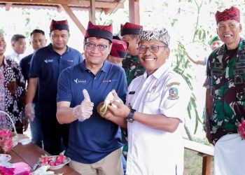 PT Pupuk Kalimantan Timur (Pupuk Kaltim) melalui Program Agrosolution berhasil tingkatkan produktivitas buah naga Banyuwangi Jawa Timur, hingga 8 ton per hektare dalam sekali panen. Keberhasilan ini ditandai Panen Raya Buah Naga di Dusun Panjen, Desa Jambewangi, Kecamatan Sempu Banyuwangi, Rabu (20/11/2024)