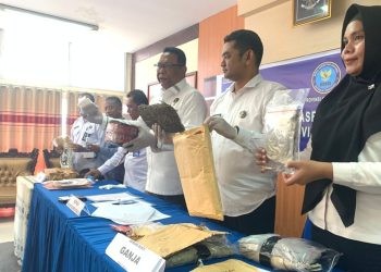 Jajaran BNNP Gorontalo saat menunjukkan barang bukti barang narkotika berupa 1 Kg ganja saat jumpa pers, Senin (23/12/2024).(Foto Rama Gopos)