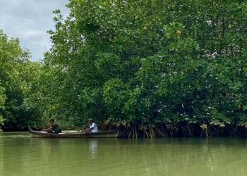 Masyarakat memancing ikan di sekitar hutan mangrove di Desa Pasar Rawa, Kabupaten Langkat, Sumatra Utara, Selasa (3/12/2024). (ANTARA/Rizka Khaerunnisa)