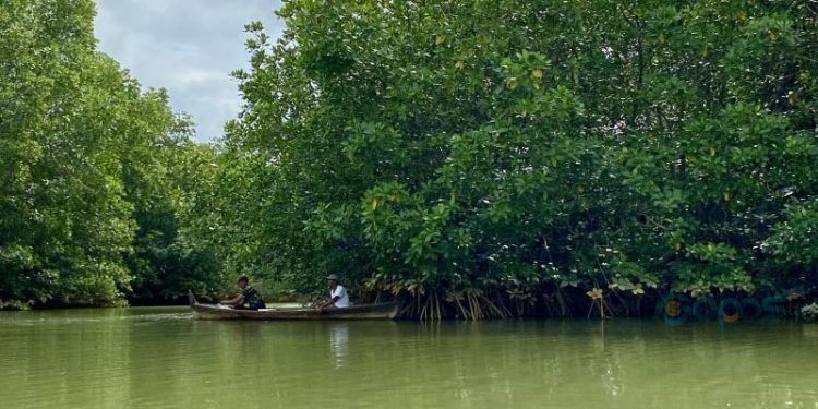 Masyarakat memancing ikan di sekitar hutan mangrove di Desa Pasar Rawa, Kabupaten Langkat, Sumatra Utara, Selasa (3/12/2024). (ANTARA/Rizka Khaerunnisa)