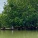 Masyarakat memancing ikan di sekitar hutan mangrove di Desa Pasar Rawa, Kabupaten Langkat, Sumatra Utara, Selasa (3/12/2024). (ANTARA/Rizka Khaerunnisa)