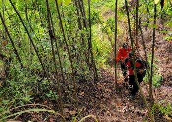 Beberapa personel SAR gabungan ketika melakukan operasi pencarian Bastim Thaib, lansia yang hilang  di areal perkebunan Kecamatan Popayato Barat, Kamis (5/12/2024).(Foto SAR Gorontalo)