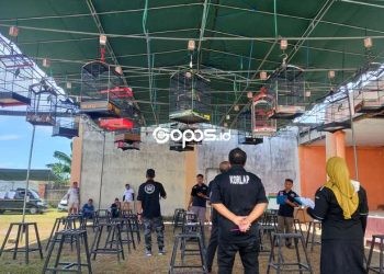 Ratusan Peserta Se-Sulawesi Meriahkan Lomba Burung Berkicau Rahmijati Jahja Cup V