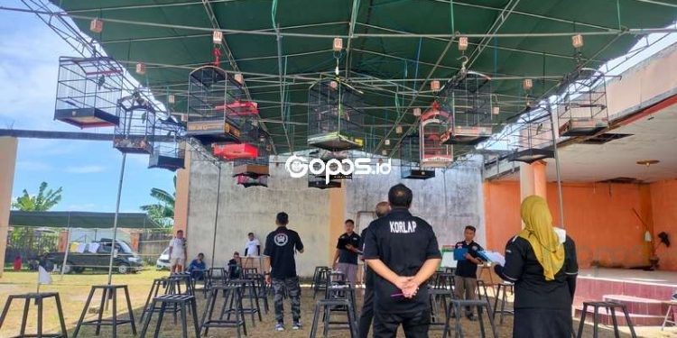 Ratusan Peserta Se-Sulawesi Meriahkan Lomba Burung Berkicau Rahmijati Jahja Cup V