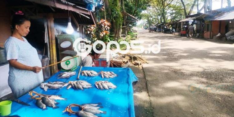 Agustin Antula Warga Kelurahan Hutuo, Kecamatan Limboto, Kabupaten Gorontalo ditemui gopos.id saat berjualan ikan.