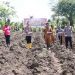Kapolres Gorontalo, AKBP Deddy Herman, saat melakukan penanaman jagung. (Foto Istimewa)