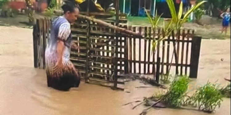 Banjir yang melanda desa Molowahu merembet ke pemukiman warga.(Foto Kades)