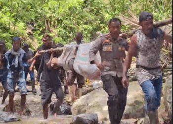 Proses evakuasi para korban tewas tertimpa pohon di lokasi hutan Desa Karya Baru, Kecamatan Dengilo.