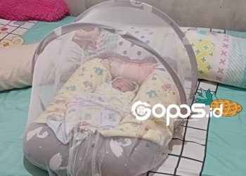Sesosok bayi perempuan di temukan salah seorang warga Tepatnya di Jalan GORR Limboto Barat, Kabupaten Gorontalo, Sabtu (15-2-2025). (Uki/Gopos)