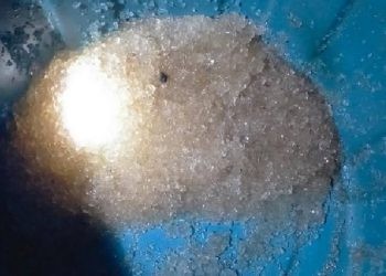 Hujan Jelly yang terjadi di Desa Leyao, Kecamatan Tomilito Kabupaten Gorontalo Utara menghebohkan masyarakat setempat.