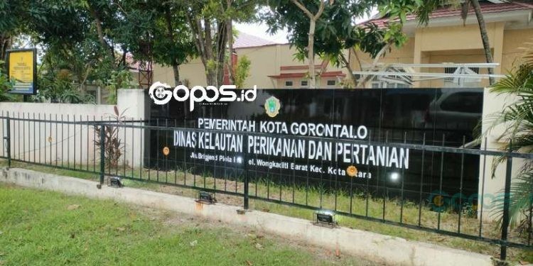 Lahan Pertanian di Kota Gorontalo Dipatok Paling Kecil 250 Hektar