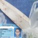Barang bukti sebuah pisau dapur yang berhasil disita Polres Boalemo.(Foto Istimewa for Gopos.id)