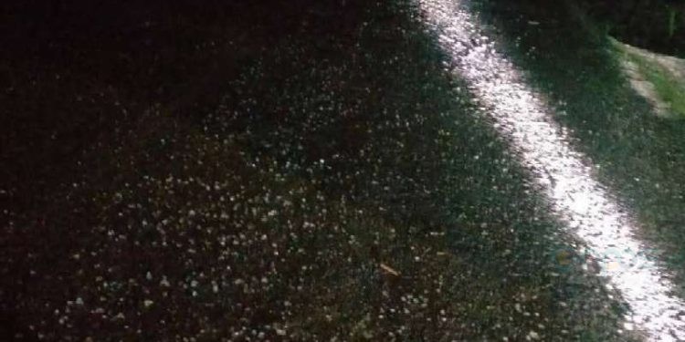 Hujan Jelly yang terjadi di Desa Leyao, Kecamatan Tomilito Kabupaten Gorontalo Utara menghebohkan masyarakat setempat ternyata tidaklah benar.