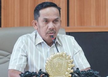 Wakil Ketua Komisi I, Darmawan Duming