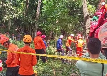 Proses evakuasi korban meninggal dunia pada kecelakaan truk BBM di jalan Trans Sulawesi Desa Molingkapoto, Kecamatan Kwandang, Kabupaten Gorontalo Utara, Kamis (13/2/2025).(Foto SAR Gorontalo)