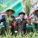 Bupati Purwakarta pada panen raya di Desa Cisaat Kecamatan Campaka