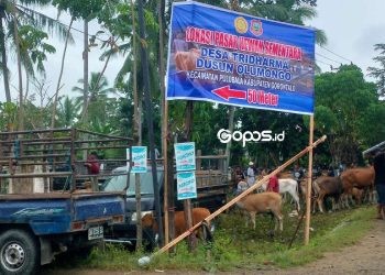 Pemerintah Kabupaten Gorontalo merelokasi sementara pasar tradisional dan pasar hewan di Kabupaten Gorontalo.