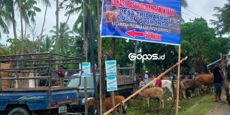 Pemerintah Kabupaten Gorontalo merelokasi sementara pasar tradisional dan pasar hewan di Kabupaten Gorontalo.