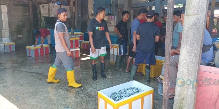 Kesibukan pedagang ikan di TPI Gorontalo