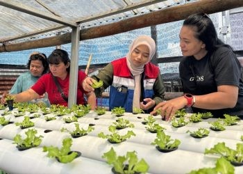 KWT Candi Berdaya di Lingkungan III, Kelurahan Bitung Barat I, Kota Bitung, Sulawesi Utara mendapat pendampingan dari Pertamina Patra Niaga IT Bitung untuk memanfaatkan pekarangan rumah dengan tanaman berbasis hidroponik.(Foto Pertamina)