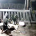Aksi YA saat diduga mencuri biji kakao yang terekam kamera CCTV di rumah warga Desa Poyowa Besar I, Kecamatan Kotamobagu Selatan.
