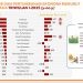 Infografis pertumbuhan ekonomi Gorontalo triwulan I 2025. (dok. BPS Gorontalo)