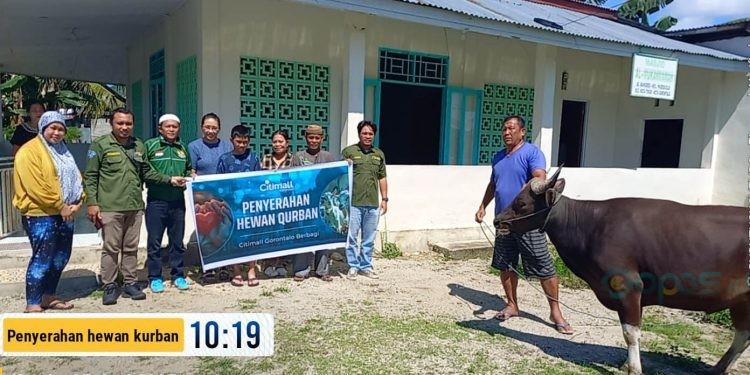 Pembagian hewan kurban Citimall Gorontalo diberikan langsung kepada warga melalui Masjid Al-Mukarramah, Kelurahan Padebuolo, Kota Gorontalo