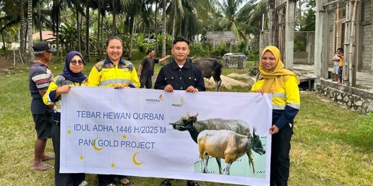 Penyerahan bantuan sapi kurban kepada desa berada di lingkup tambang Pani Gold Project, Jumat (6/6/2025) (Istimewa)