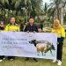 Penyerahan bantuan sapi kurban kepada desa berada di lingkup tambang Pani Gold Project, Jumat (6/6/2025) (Istimewa)
