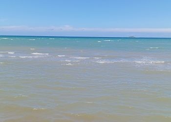 Situasi terkini di kawasan Pohon Cinta