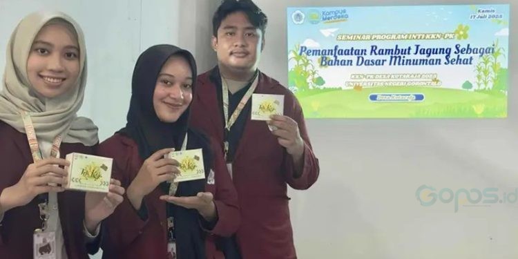 Mahasiswa KKN Profesi Kesehatan UNG membuat teh herbal berbahan dasar rambut jagung yang selama ini dianggap limbah oleh petani.(F. UNG)